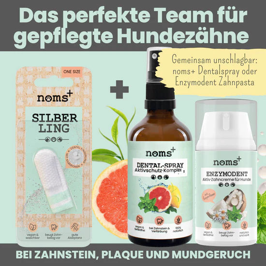 Produktabbildung Silberling mit Dentalspray und Zahncreme für Hunde