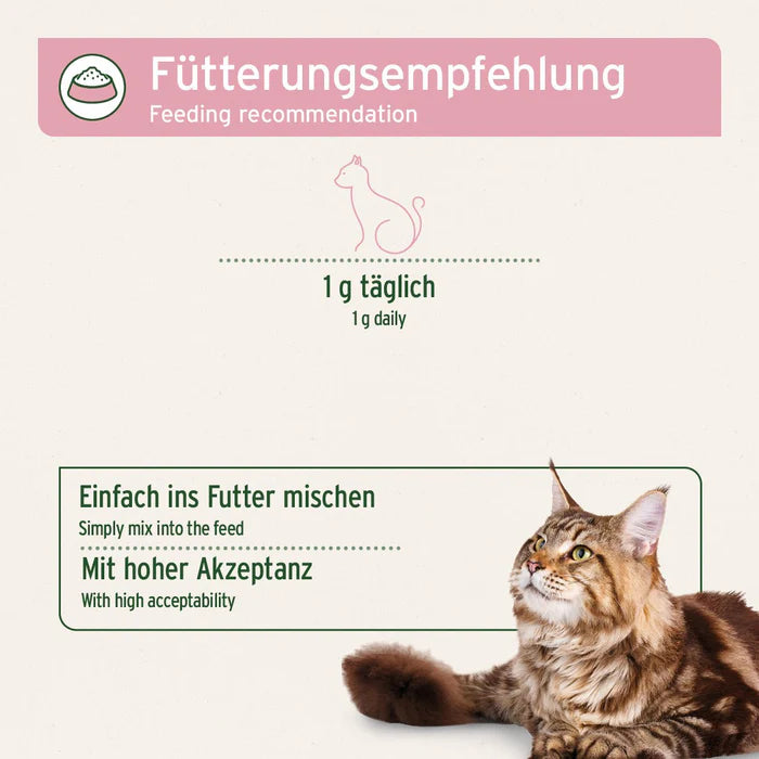 Kollagen und Taurin für Katzen – AniForte® 4in1 Complete Cat unterstützt die Gelenkgesundheit und Herzfunktion.
