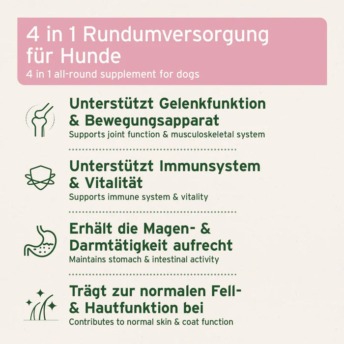 Hundeergänzungsfuttermittel von AniForte® mit Hagebutte, Bierhefe und Grünlippmuschel zur Förderung von Verdauung und Vitalität.
