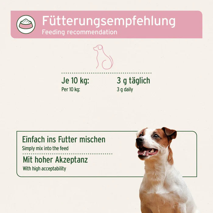 Ergänzungsfuttermittel für Hunde von AniForte® mit natürlichen Inhaltsstoffen wie Topinambur, Hagebutte und Bierhefe für ganzheitliche Gesundheit.
