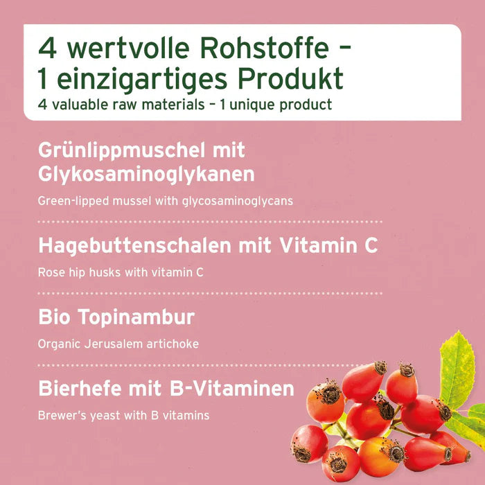 4in1 Complete Dog – Natürliche Nährstoffe zur Unterstützung der Haut, Gelenke und Magen-Darm-Gesundheit deines Hundes.