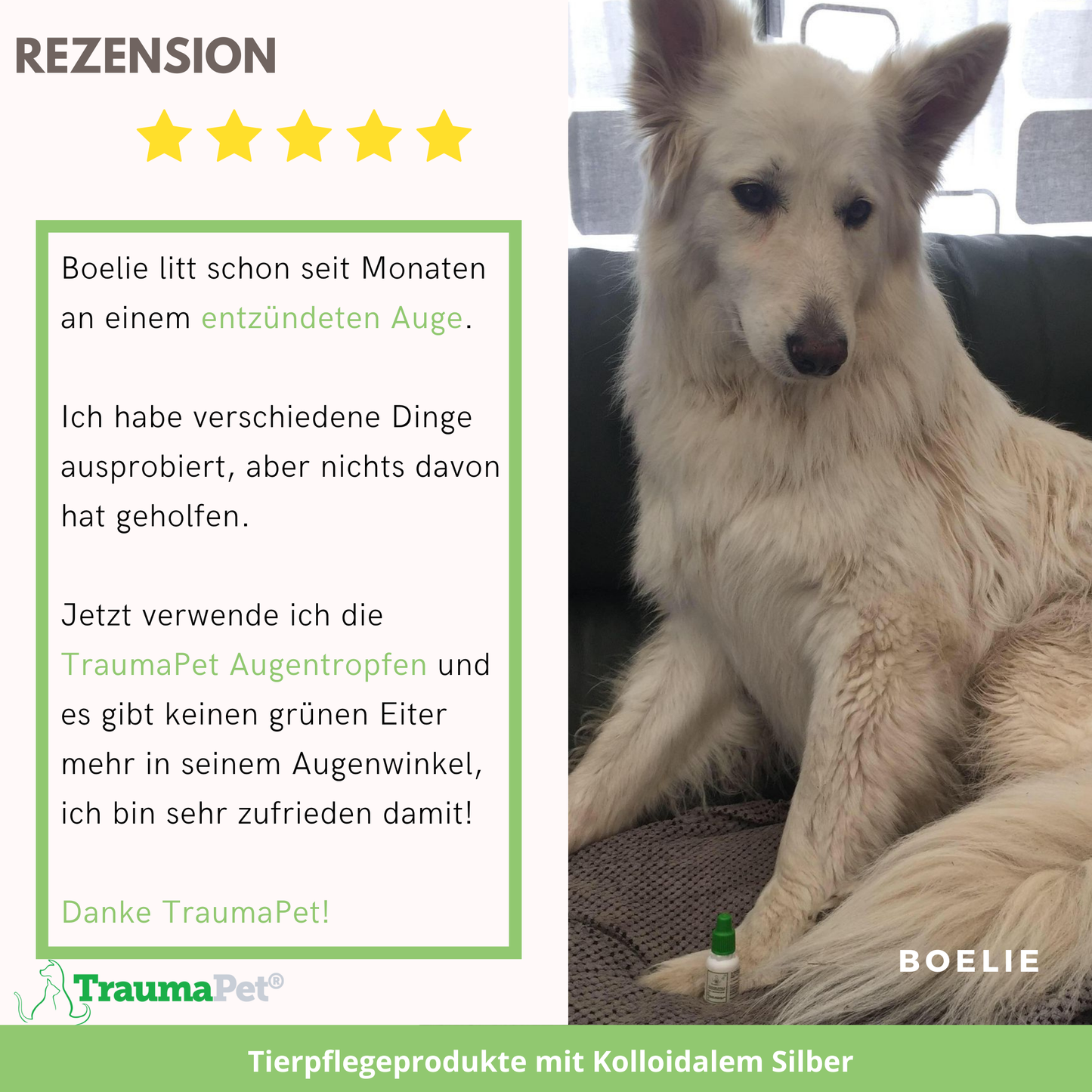 TraumaPet Augentropfen mit kolloidalem Silber für Tiere 10ml