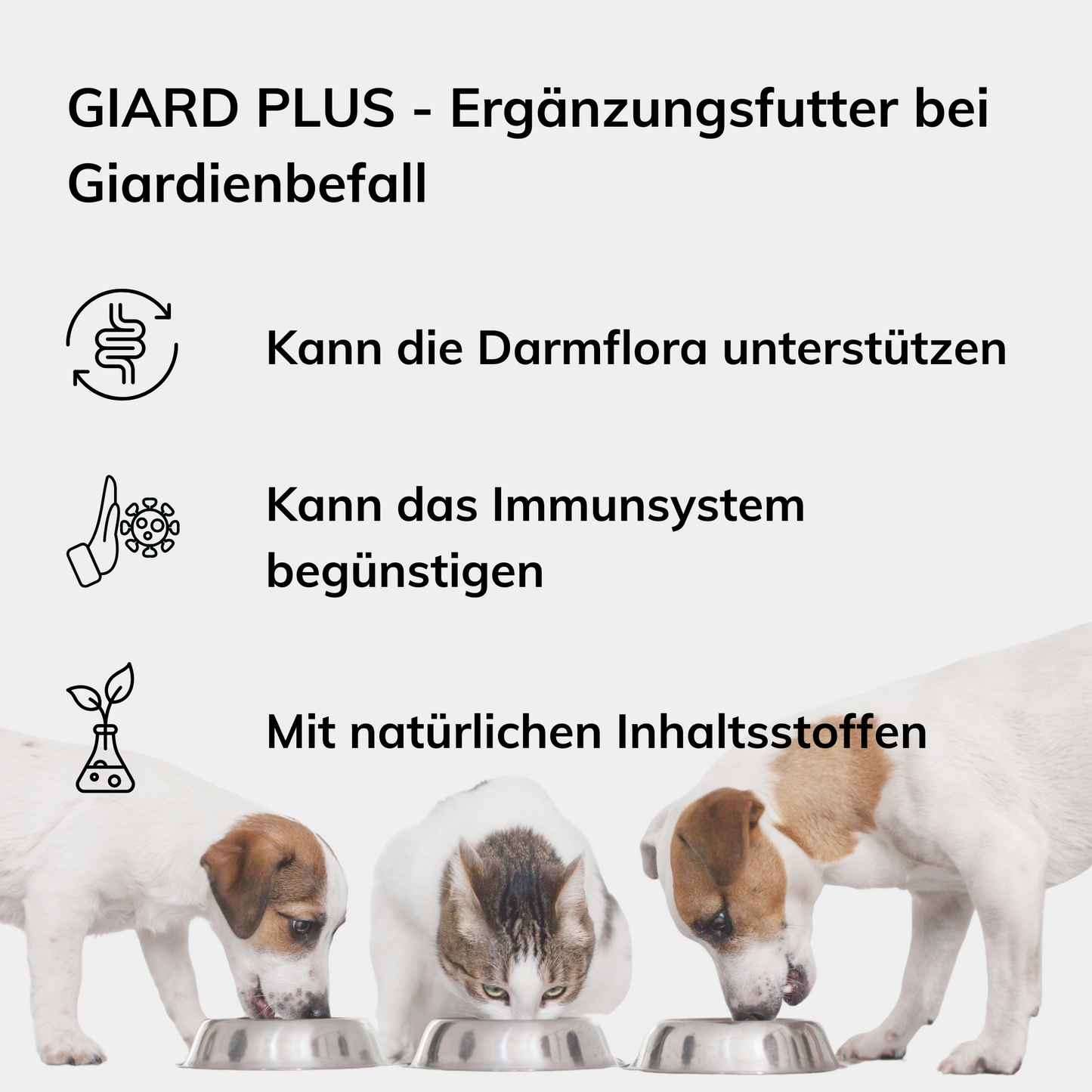 Giard Plus Ergänzungsfutter gegen Giardien – Unterstützt die Behandlung von Hunden & Katzen 140g