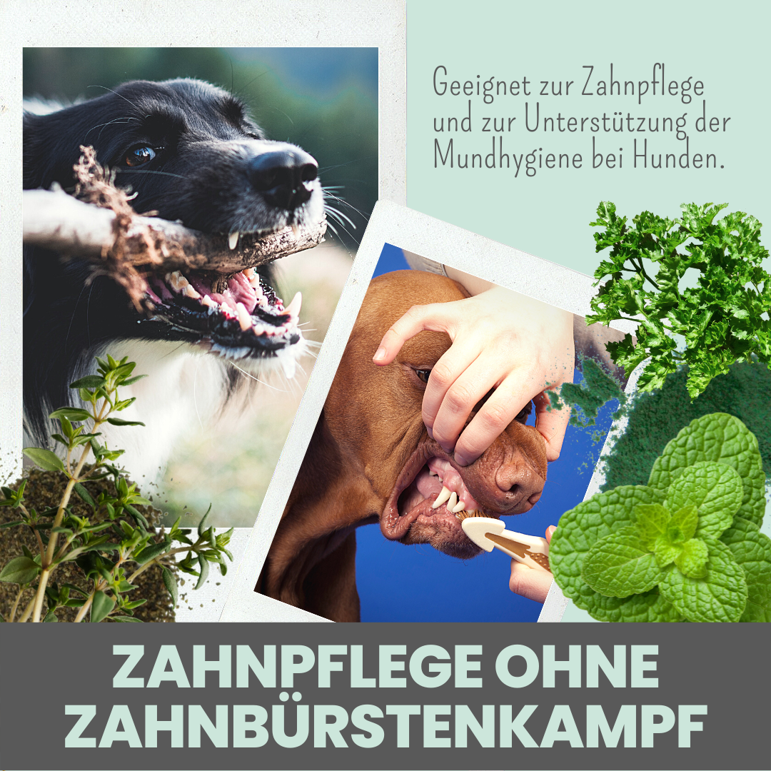 noms+ Dentalmix für Hunde zur Zahnpflege und für frischen Atem (150g)