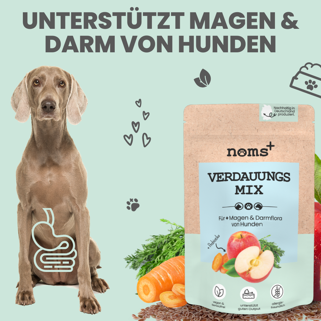noms+ Verdauungsmix für Hunde als Präbiotikum für Magen- & Darmflora (150g)