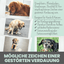noms+ Verdauungsmix für Hunde als Präbiotikum für Magen- & Darmflora (150g)