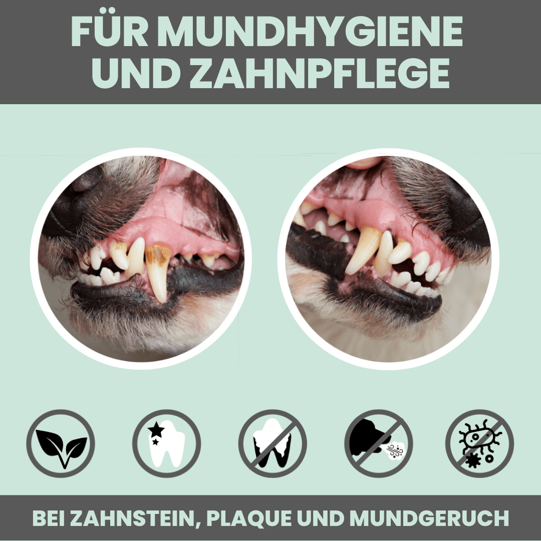 Dentalmix für Hunde zur Zahnpflege und für frischen Atem (150g)