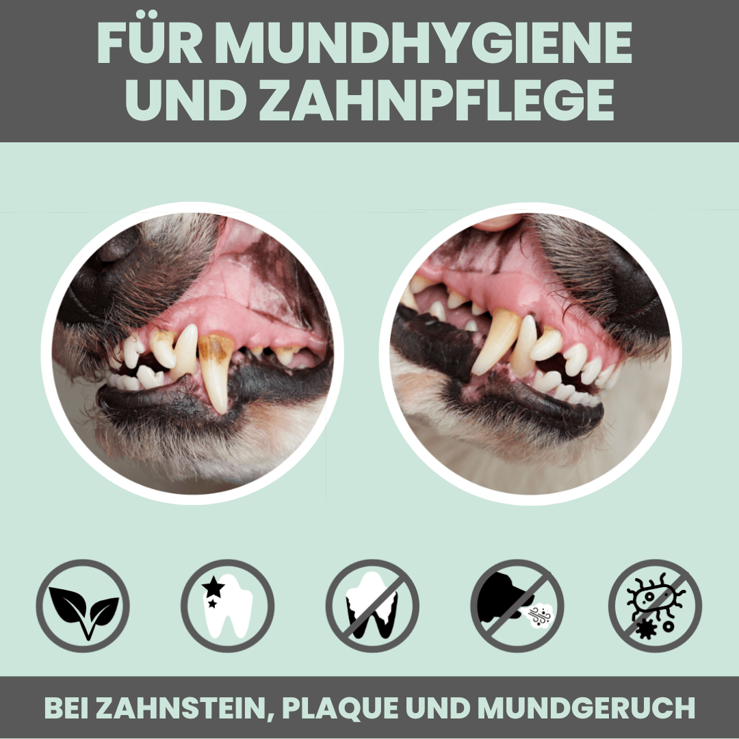 noms+ Dentalmix für Hunde zur Zahnpflege und für frischen Atem (150g)