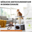 ViPiBaX Giardien EX® Wischkonzentrat 5l