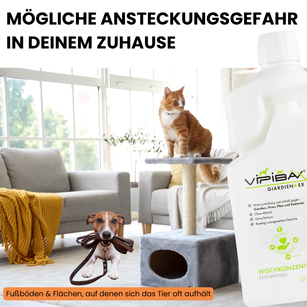 ViPiBaX Giardien EX® Wischkonzentrat 5l