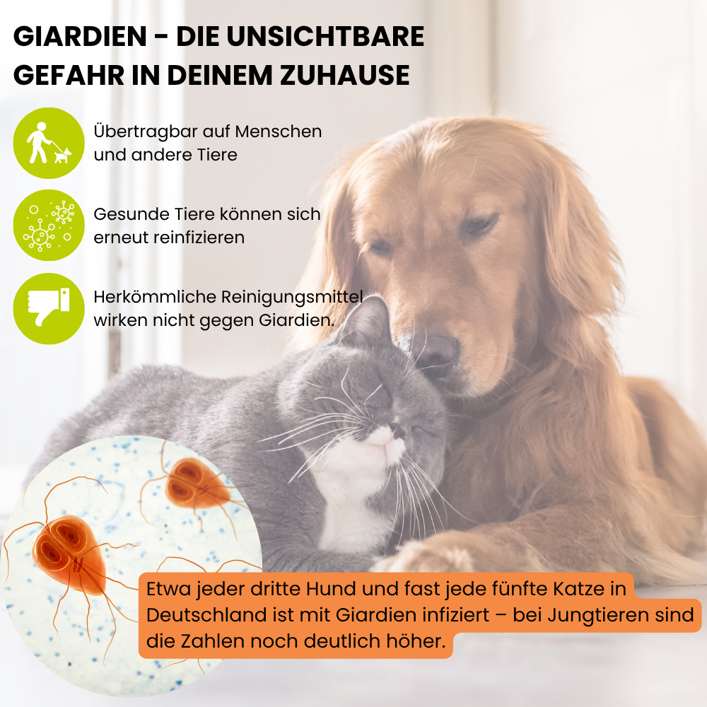 ViPiBaX Giardien EX® Wischkonzentrat 5l