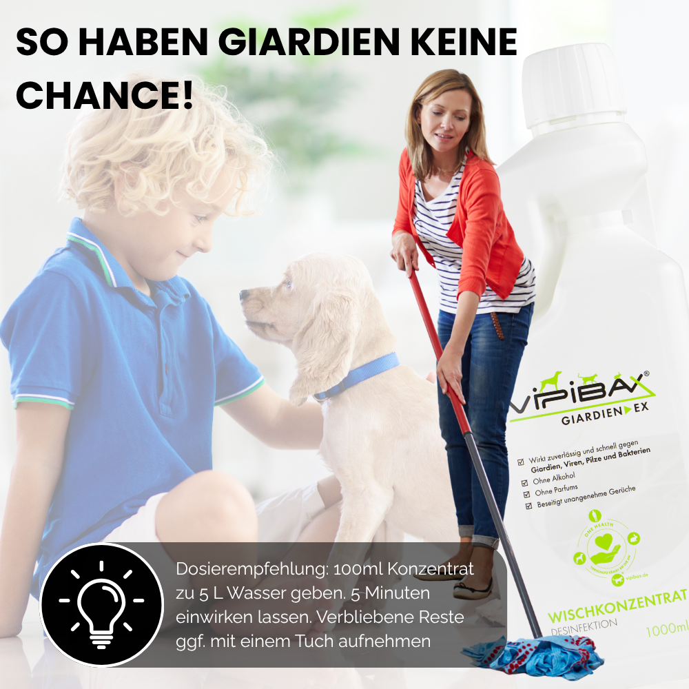 ViPiBaX Giardien EX® Wischkonzentrat 5l