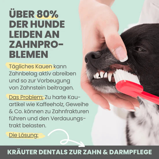 noms+ Kräuter Dentals für Hunde zur Zahn- und Darmpflege (150g)