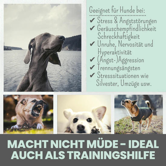 noms+ Wohlfühlsnacks für Hunde bei Stress, Angst, Unruhe & Hyperaktivität 125g