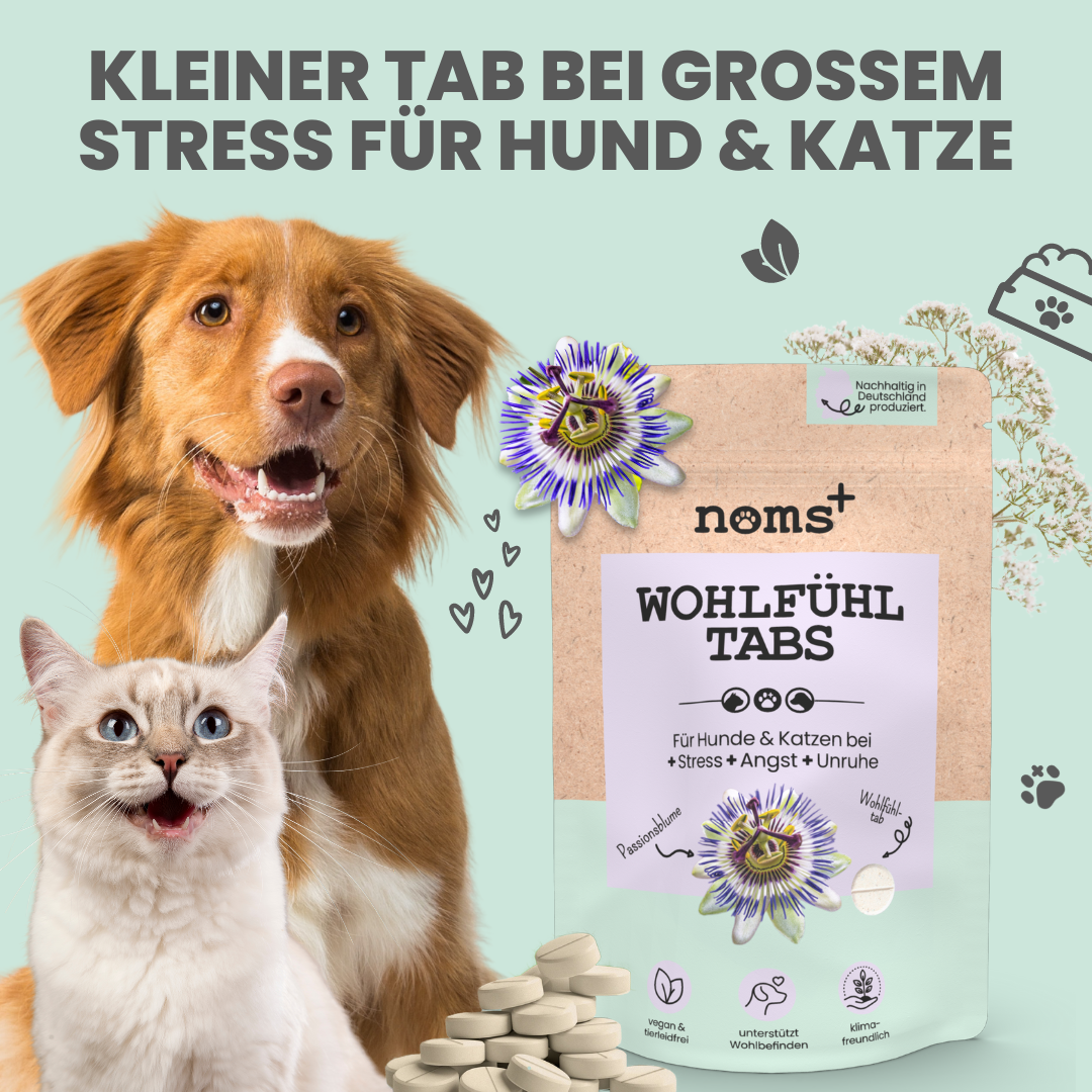 noms+ Wohlfühltabs für Hunde bei Stress, Angst, Unruhe und Hyperaktivität (110g)