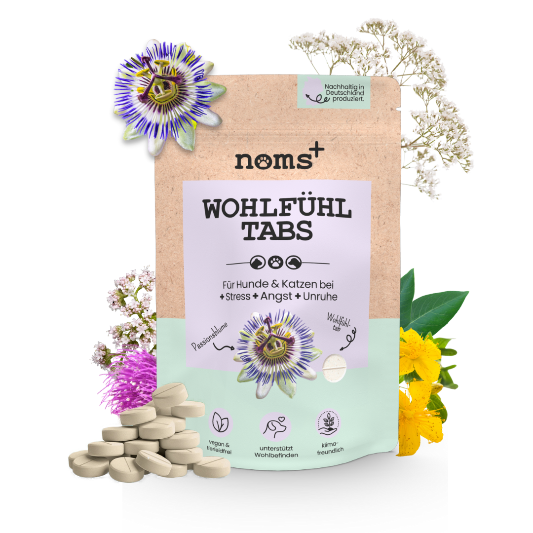 noms+ Wohlfühltabs für Hunde bei Stress, Angst, Unruhe und Hyperaktivität (110g)