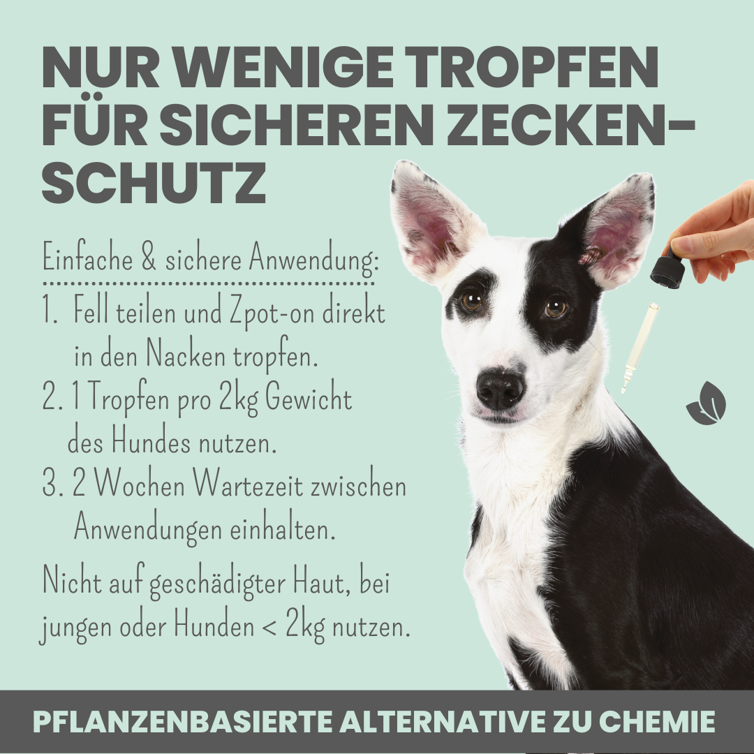 Zpot-on für Hunde gegen Zecken, Flöhe, Milben & Mücken (50ml)