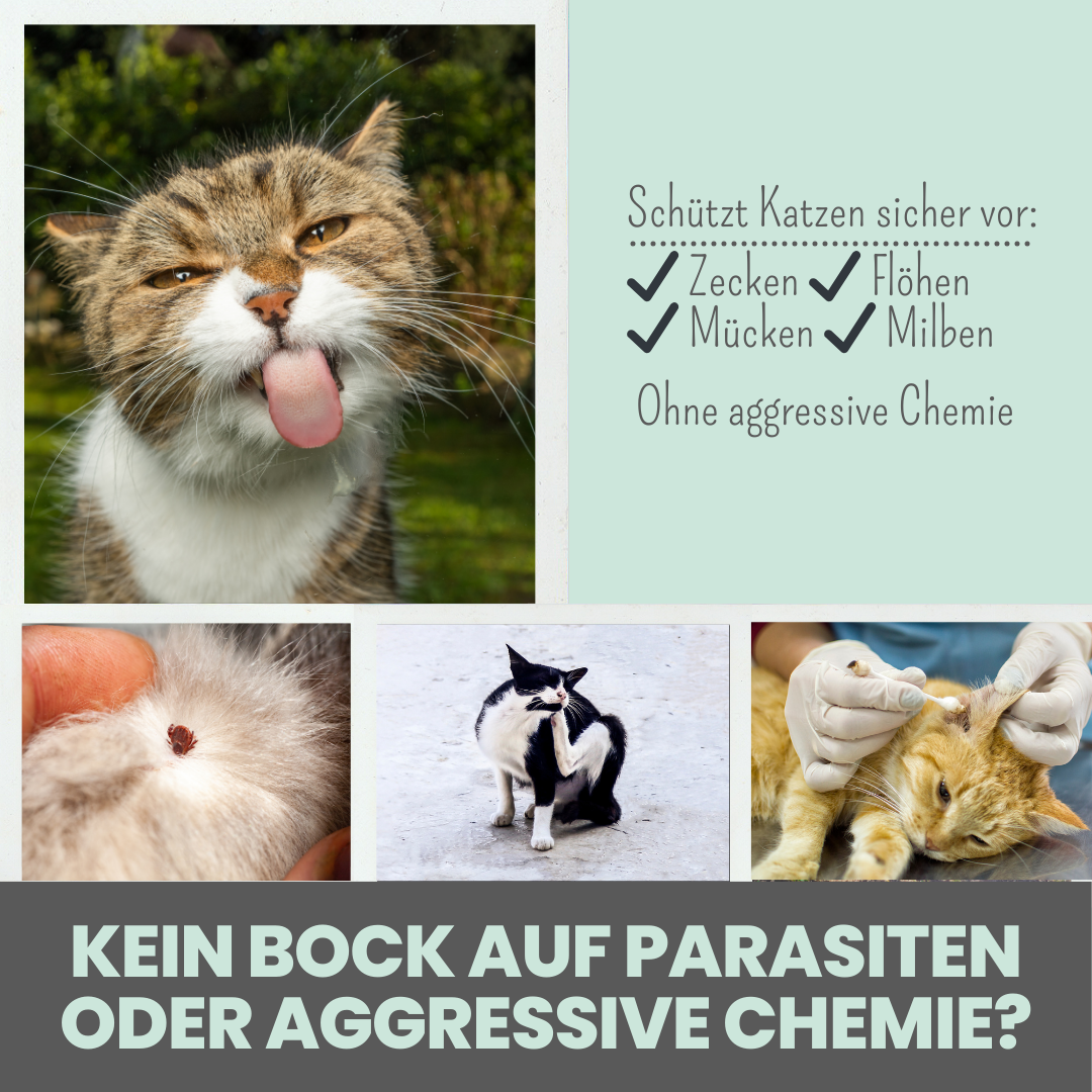 Zpot-on für Katzen gegen Zecken, Flöhe, Milben & Mücken (30ml)