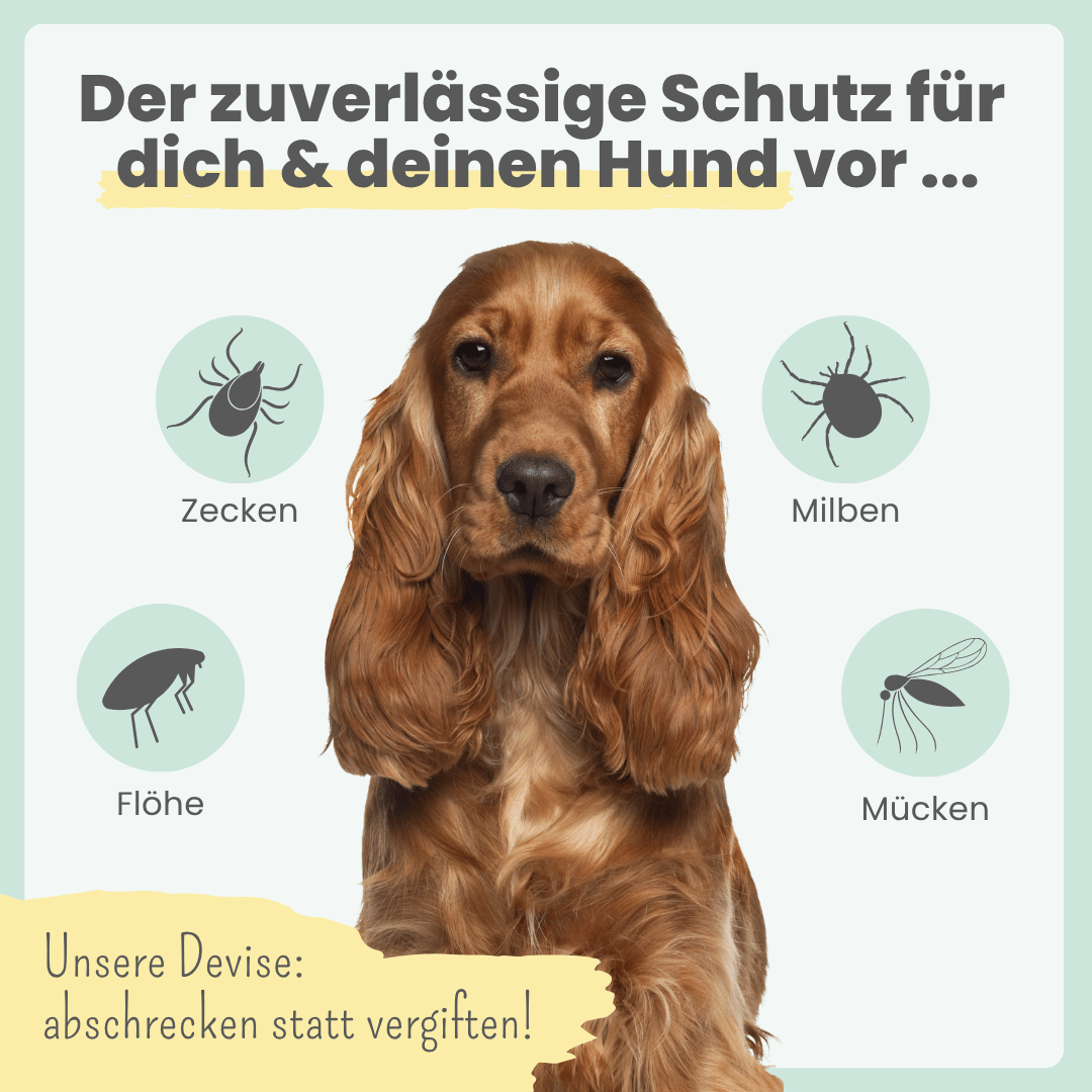 noms+ Zpray für Hunde gegen Zecken, Flöhe, Milben & Mücken (100ml)