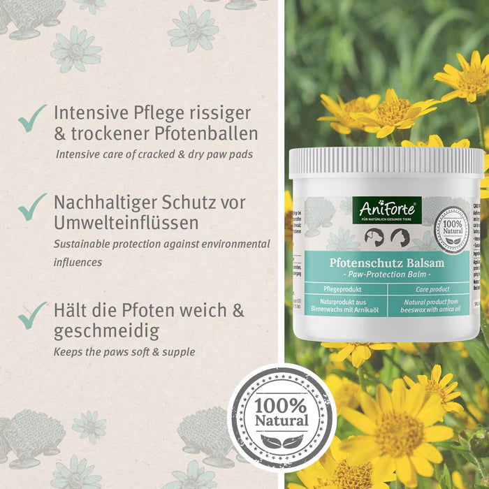 AniForte® Pfotenschutz Balsam Intensivpflege für Hunde- & Katzenpfoten 120ml