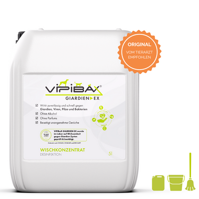 ViPiBaX Giardien EX® Wischkonzentrat 5l