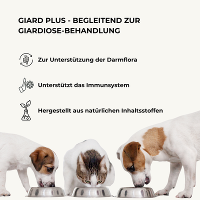 Giard Plus Ergänzungsfutter gegen Giardien – für Hunden & Katzen 140g I MHD 12/25