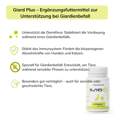 Giard Plus – verbesserte Rezeptur zur gezielten Darmunterstützung bei Giardienbefall bei Hunden und Katzen 60g