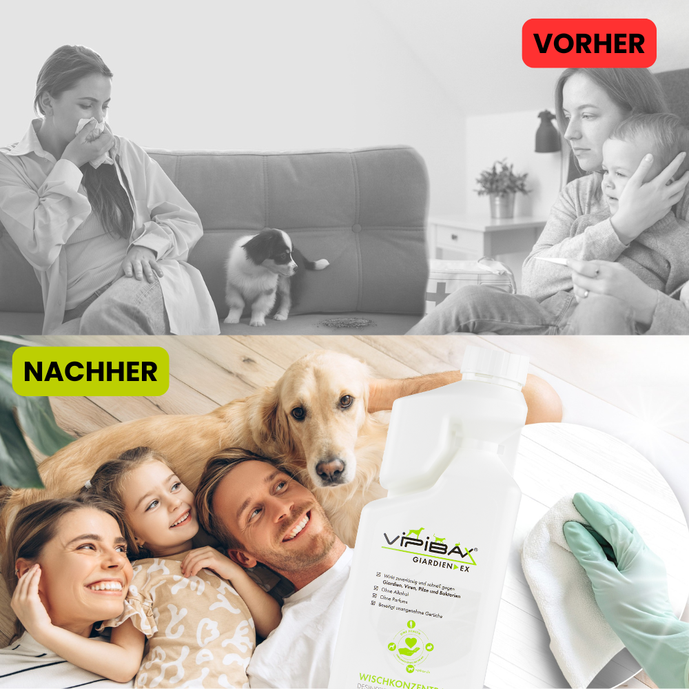 ViPiBaX Giardien EX® Wischkonzentrat 5l