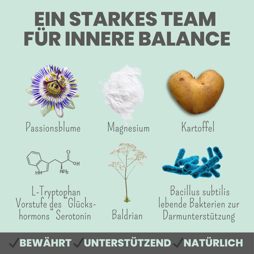 noms+ Wohlfühlsnacks für Hunde bei Stress, Angst, Unruhe & Hyperaktivität (200g)