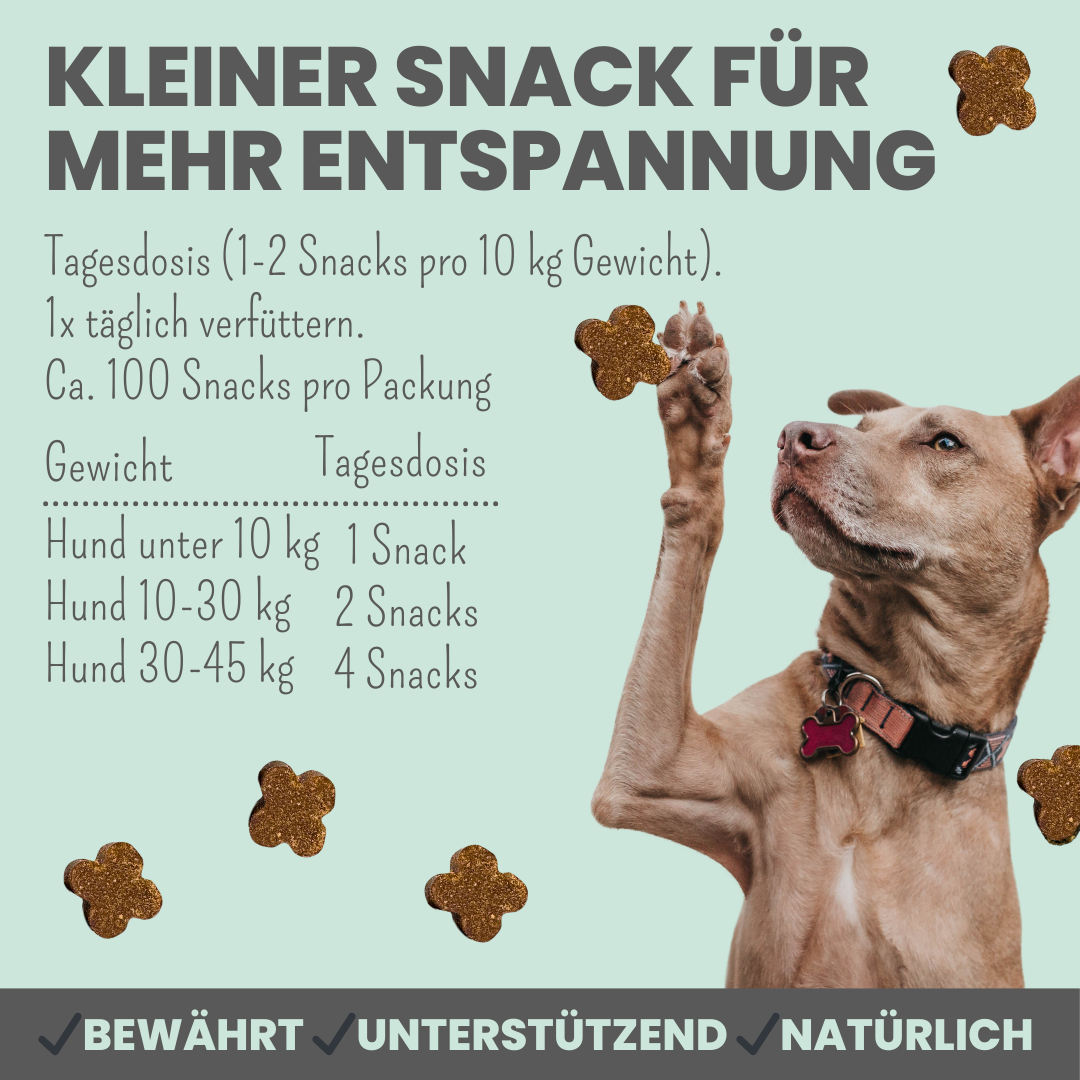 noms+ Wohlfühlsnacks für Hunde bei Stress, Angst, Unruhe & Hyperaktivität (200g)