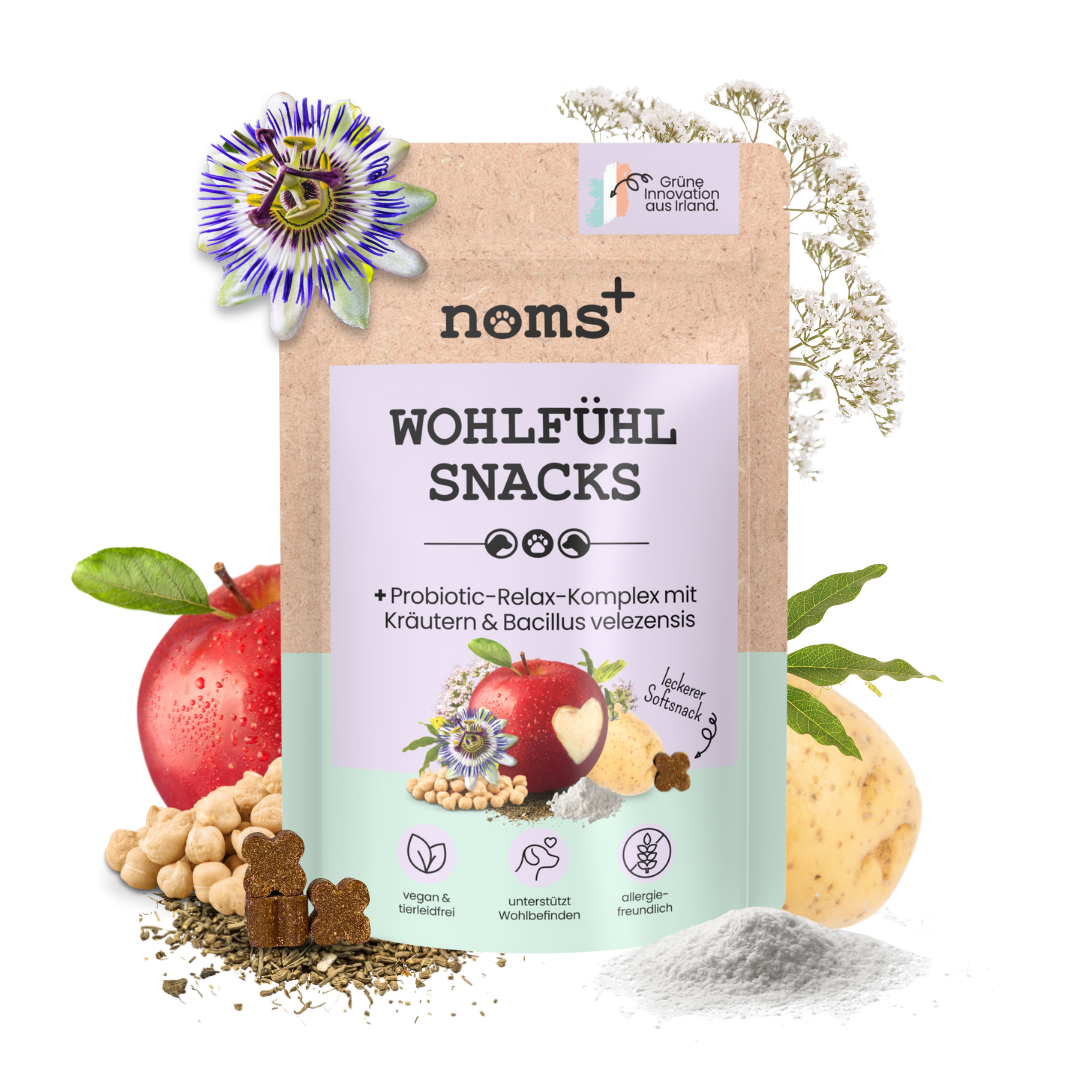 noms+ Wohlfühlsnacks für Hunde bei Stress, Angst, Unruhe & Hyperaktivität (200g)