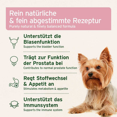 AniForte® Blasen-Formel Pulver 100 g