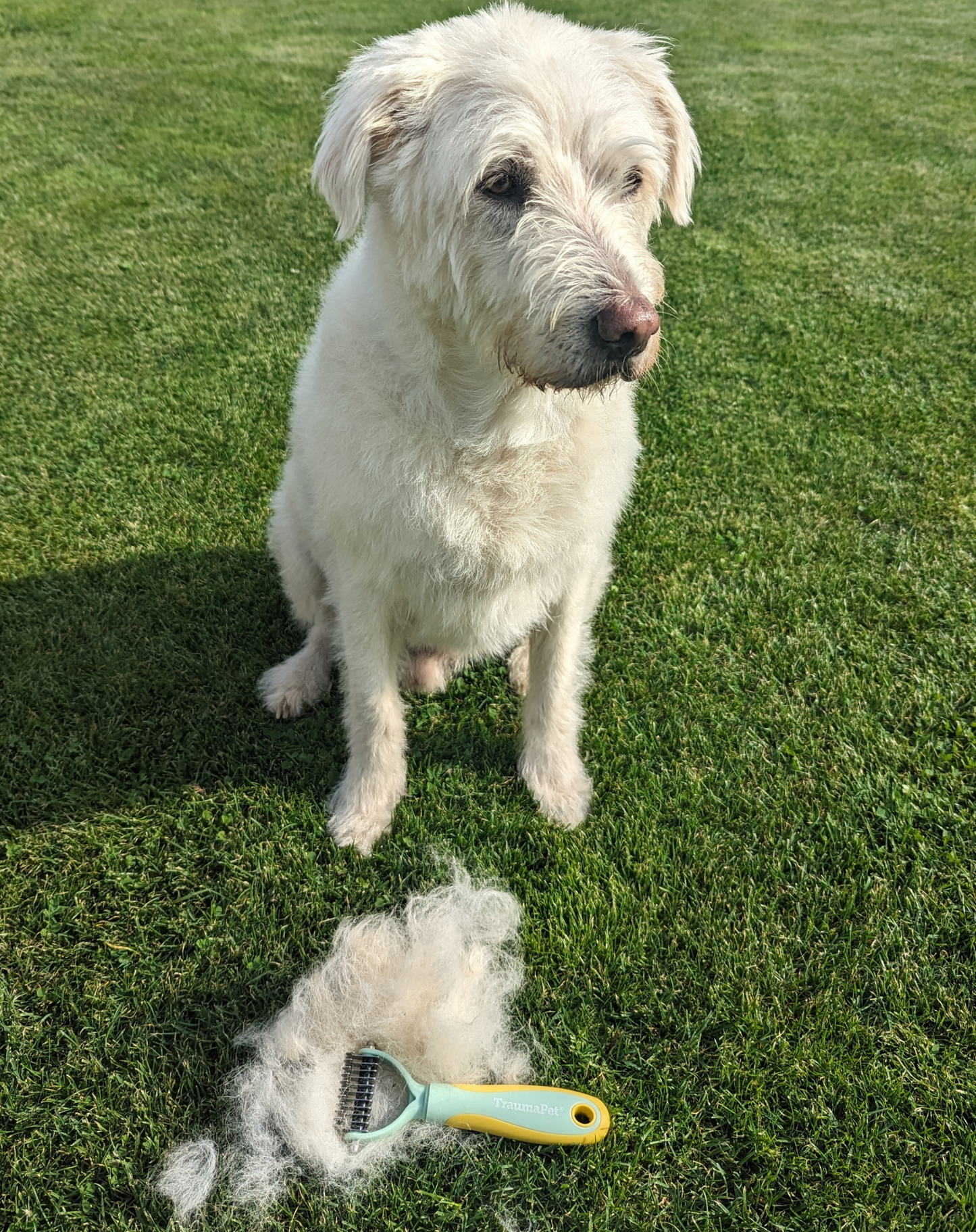 TraumaPet Doppelseitiger Unterhaarkamm