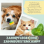 noms+ Dental-Spray bei Zahnstein für Hunde und Katzen (100ml)