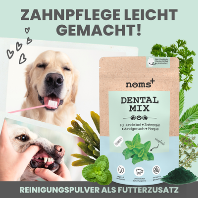 noms+ Dentalmix für Hunde zur Zahnpflege und für frischen Atem (150g)