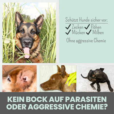 noms+ Zpray für Hunde gegen Zecken, Flöhe, Milben & Mücken