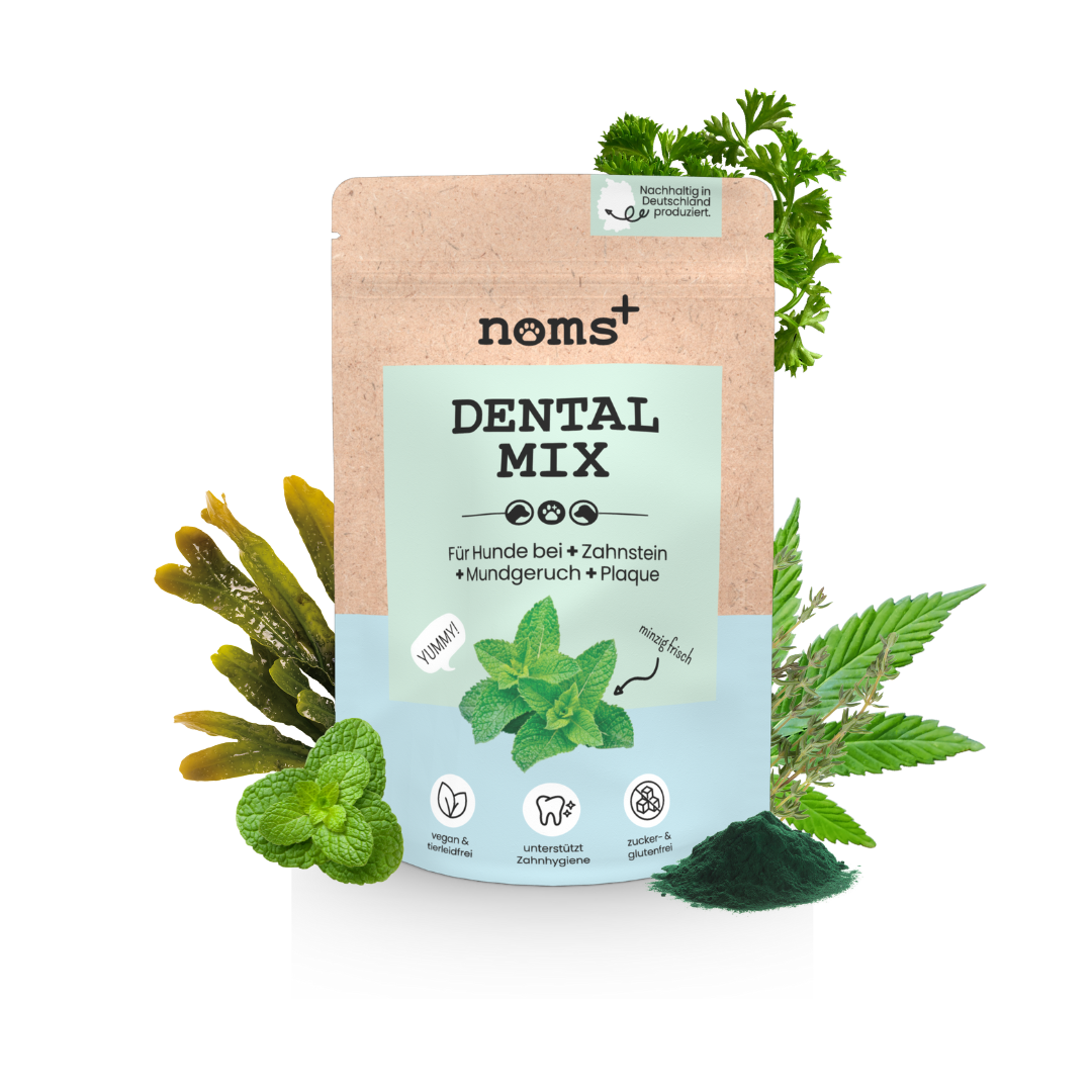 noms+ Dentalmix für Hunde zur Zahnpflege und für frischen Atem (150g)