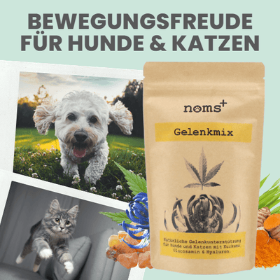 noms+ Gelenkmix für Hunde und Katzen mit Teufelskralle, Kurkuma & Glucosamin (150g)