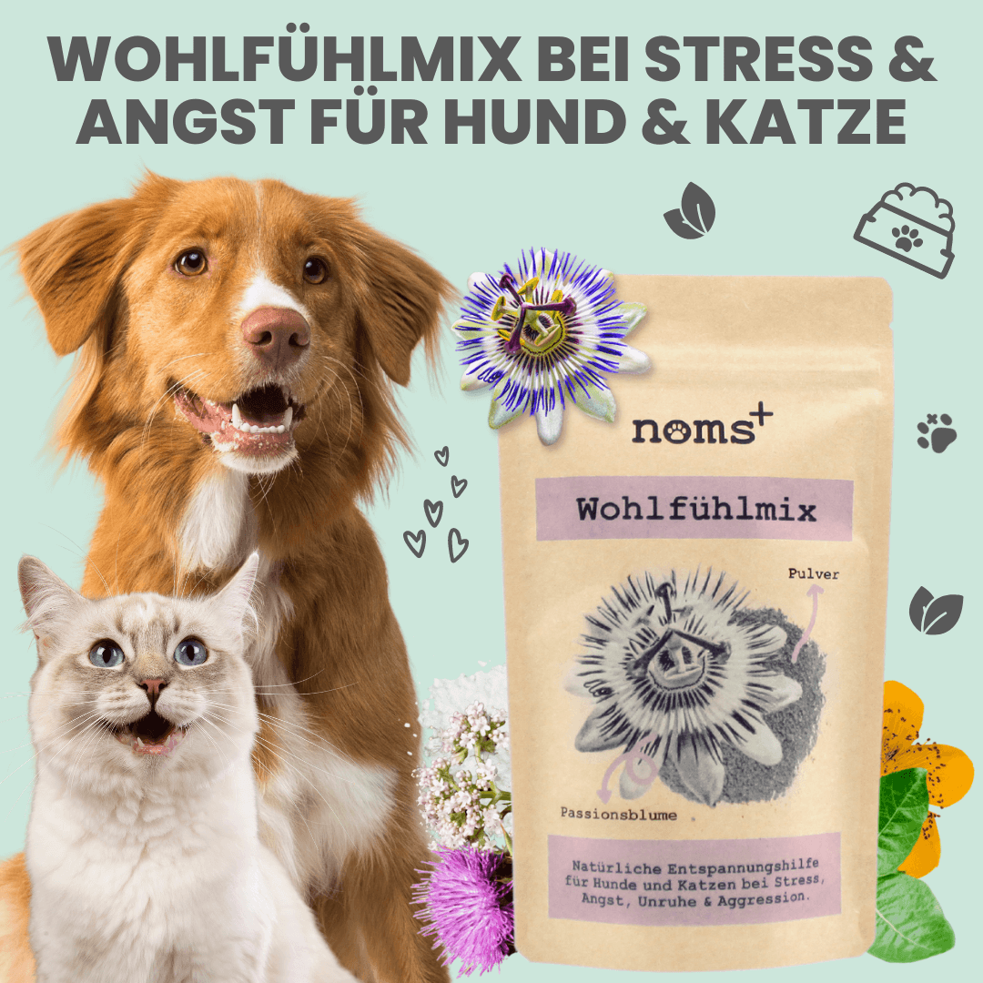 noms+ Wohlfühlmix für Hunde und Katzen bei Stress, Angst, Unruhe und Hyperaktivität (150g)