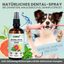 noms+ Dental-Spray bei Zahnstein für Hunde und Katzen (100ml)