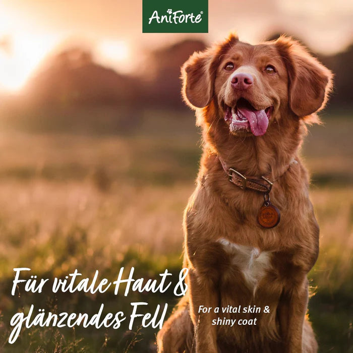 AniForte® Fellharmonie Shampoo Kokos - 200 ml