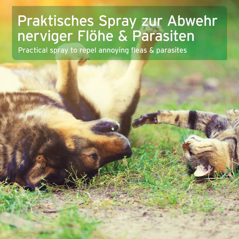 AniForte® Floh-EX Spray 250ml