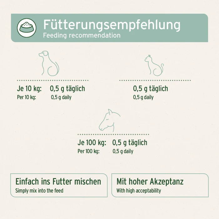Nahrungsergänzung für Tiere: Grünlippmuschel für bessere Gelenkfunktion und Agilität