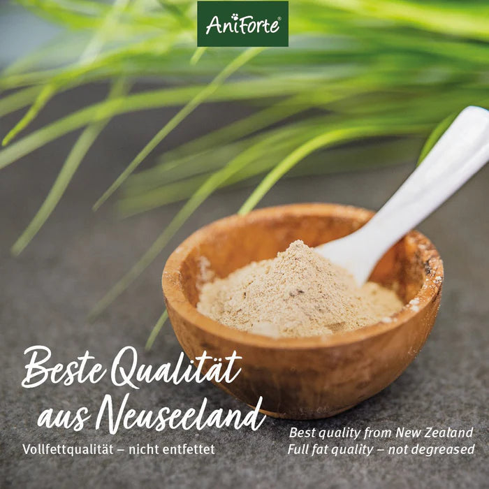 Hochwertiges Grünlippmuschel-Ergänzungsmittel für Haustiere – ideal für gesunde Gelenke.