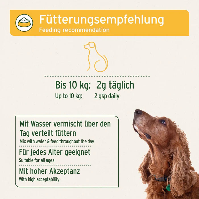 MagenSanft für Hunde – verbessert die Kotbeschaffenheit mit natürlichen Tonmineralien und Kräutern
