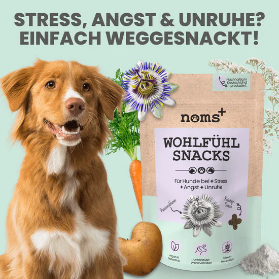 noms+ Wohlfühlsnacks für Hunde bei Stress, Angst, Unruhe & Hyperaktivität 125g