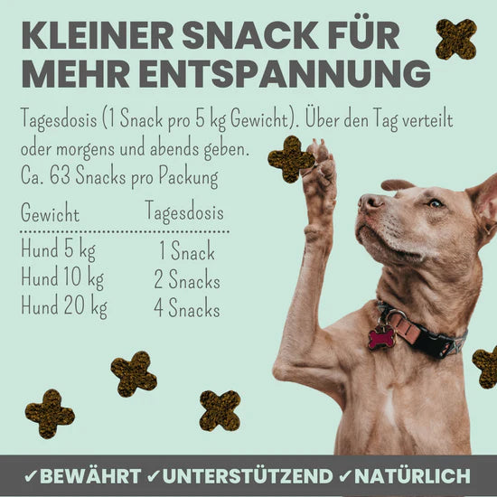 noms+ Wohlfühlsnacks für Hunde bei Stress, Angst, Unruhe & Hyperaktivität 125g