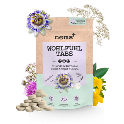 noms+ Wohlfühltabs für Hunde bei Stress, Angst, Unruhe und Hyperaktivität (110g)
