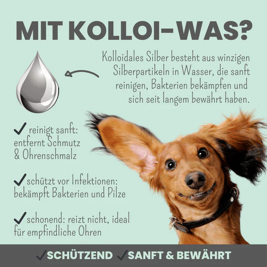 Ohrfein für Hunde und Katzen – Sanfte und gründliche Ohrreinigung mit natürlichen Zutaten zur Förderung des Ohrwohlbefindens.