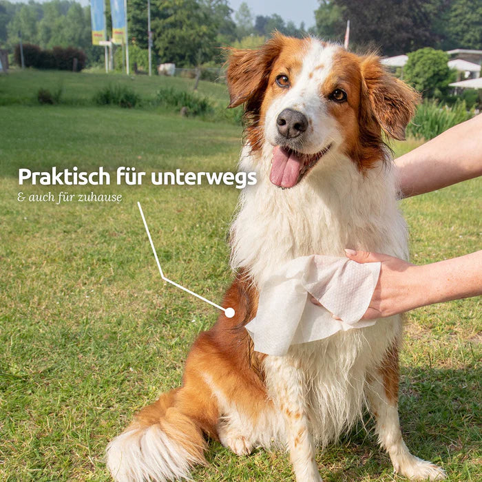 AniForte® Pflegetücher - 100 Stück